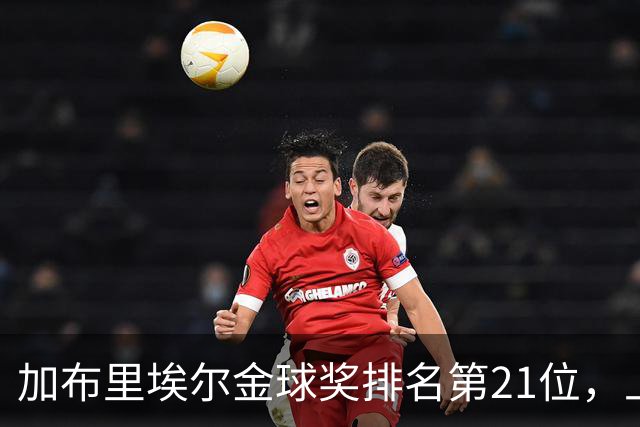 加布里埃尔金球奖排名第21位，上赛季英超17次零封为后卫最多