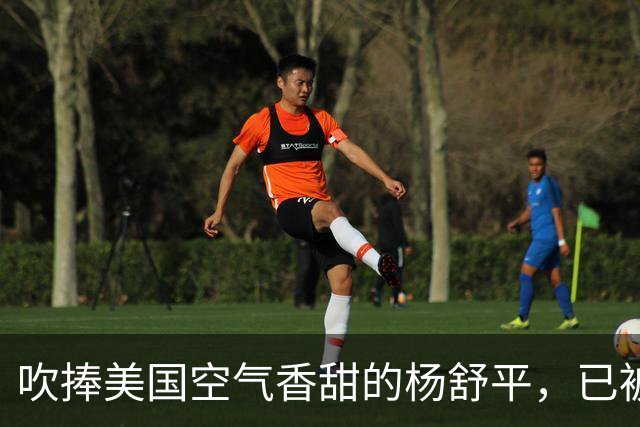 吹捧美国空气香甜的杨舒平，已被美国驱逐出境，回国后处境悲凉