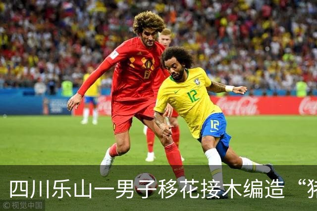 四川乐山一男子移花接木编造“猪瘟”谣言博流量，被行政处罚