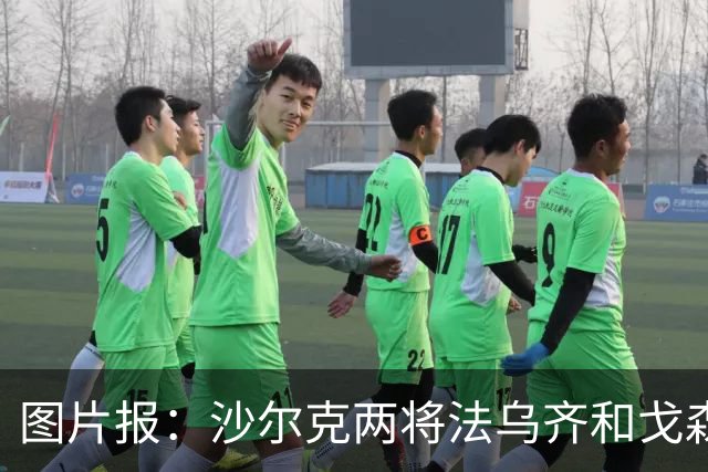 图片报：沙尔克两将法乌齐&戈森斯严重撞伤，将缺席杯赛