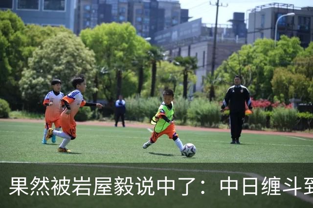 果然被岩屋毅说中了：中日缠斗到今天，日本出口额不如中国一个省