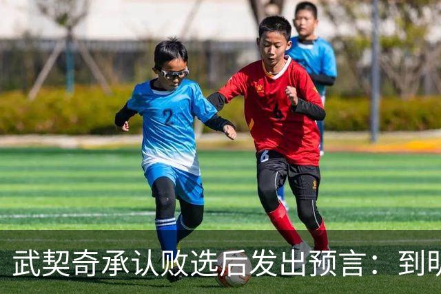 武契奇承认败选后发出预言：到明年，新政府就会对俄罗斯实施制裁