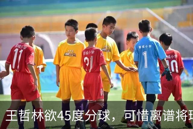 王哲林欲45度分球，可惜离谱将球传出场外