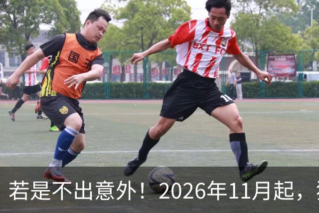 若是不出意外！2026年11月起，猪肉，鸡蛋，蔬菜或迎来“大变局”