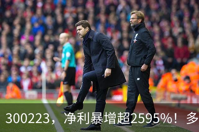 300223，净利暴增超2595%！多家A股公司业绩爆发